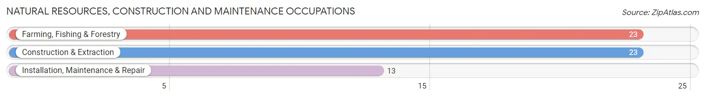 Natural Resources, Construction and Maintenance Occupations in Saunders Lake