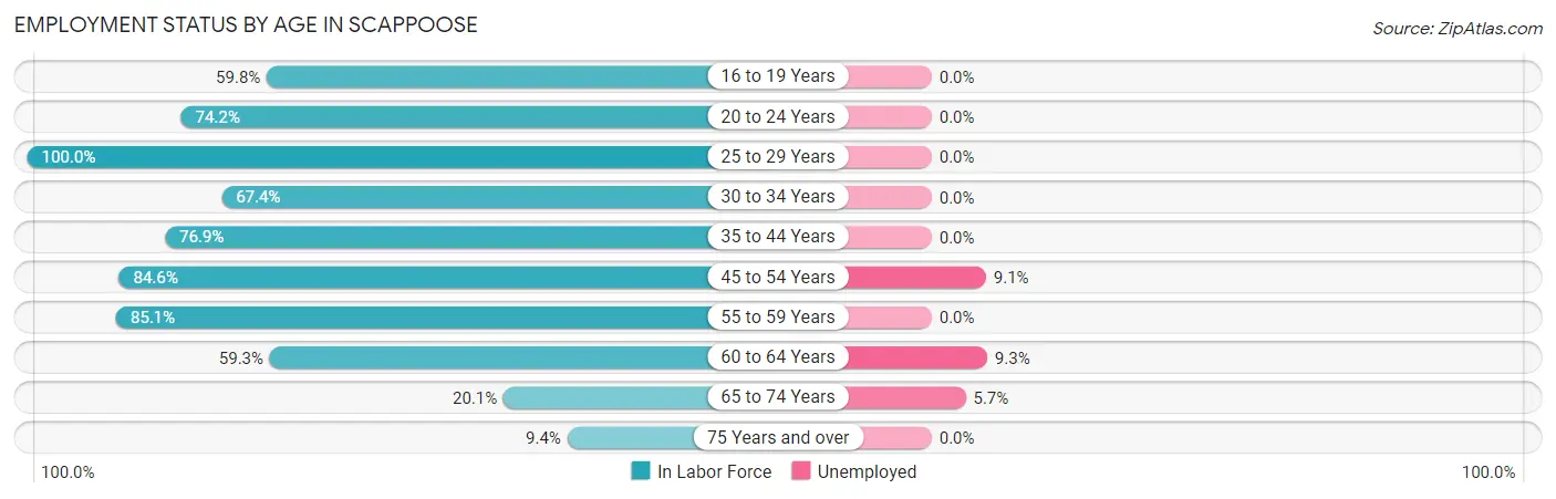 Employment Status by Age in Scappoose