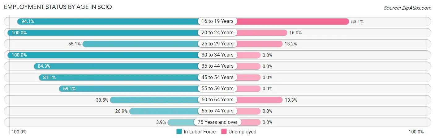 Employment Status by Age in Scio
