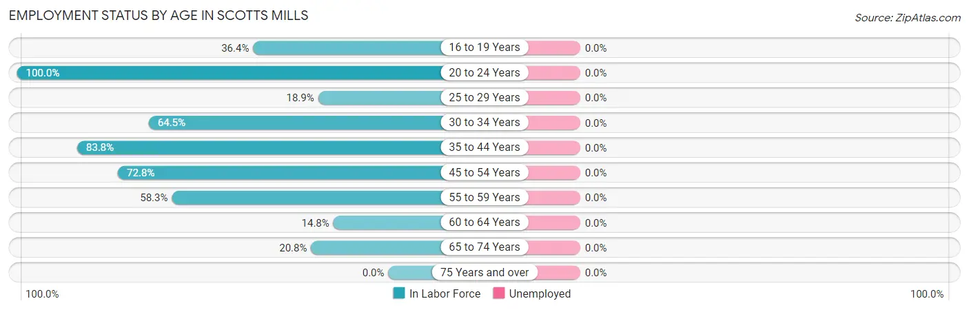 Employment Status by Age in Scotts Mills