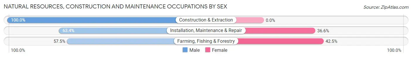 Natural Resources, Construction and Maintenance Occupations by Sex in Seaside