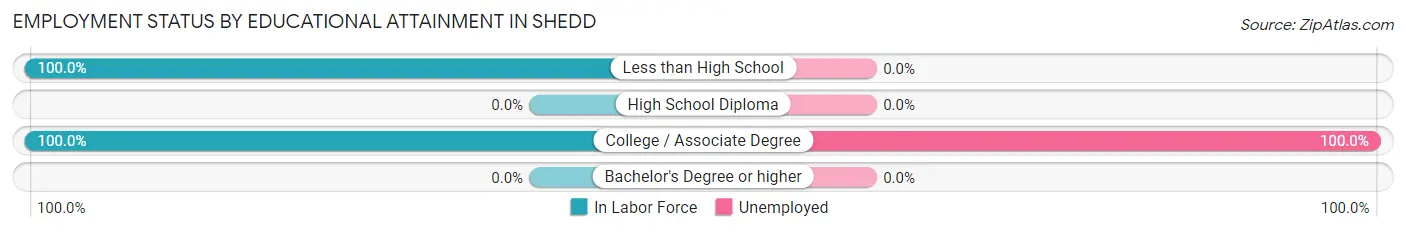 Employment Status by Educational Attainment in Shedd