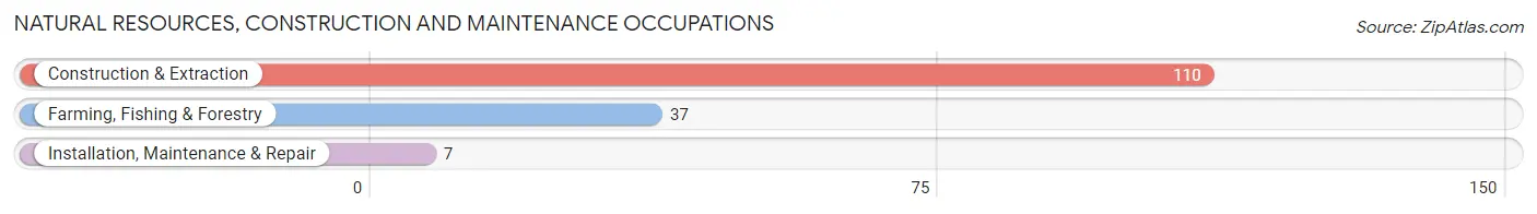 Natural Resources, Construction and Maintenance Occupations in Toledo