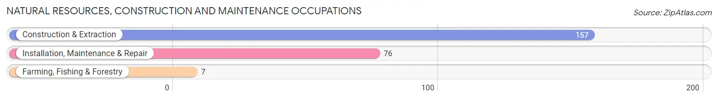 Natural Resources, Construction and Maintenance Occupations in Turner