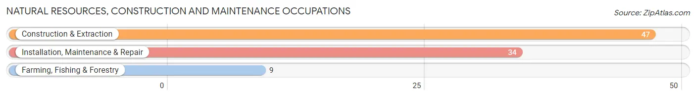 Natural Resources, Construction and Maintenance Occupations in Union