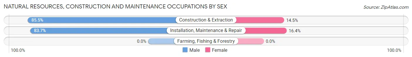 Natural Resources, Construction and Maintenance Occupations by Sex in West Linn