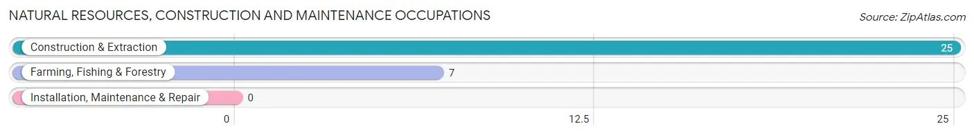 Natural Resources, Construction and Maintenance Occupations in Westfir