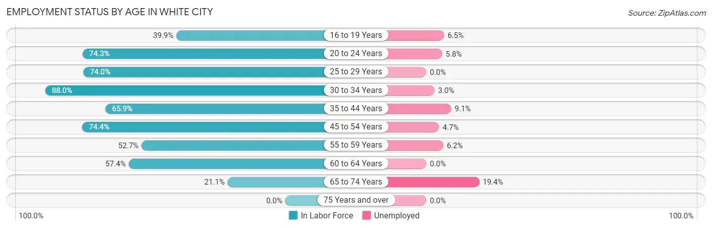 Employment Status by Age in White City
