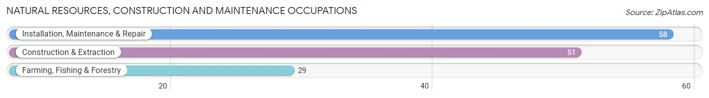 Natural Resources, Construction and Maintenance Occupations in Willamina