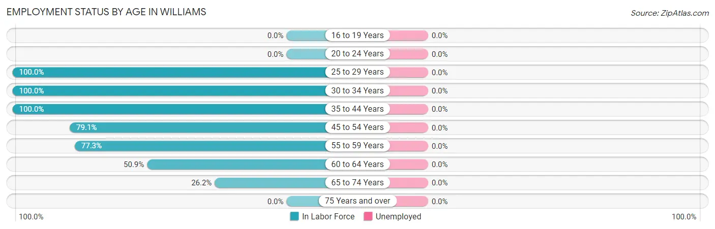 Employment Status by Age in Williams