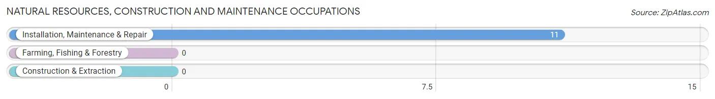 Natural Resources, Construction and Maintenance Occupations in Addison borough