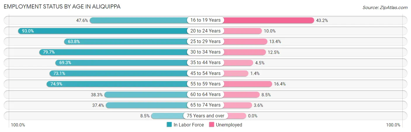 Employment Status by Age in Aliquippa