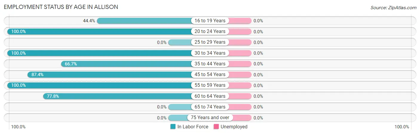 Employment Status by Age in Allison