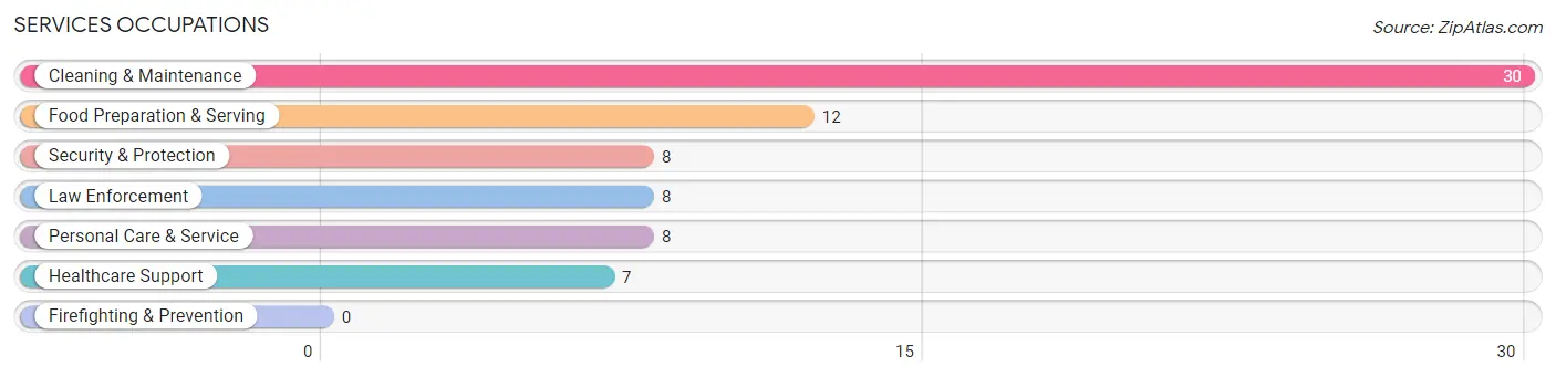 Services Occupations in Allison