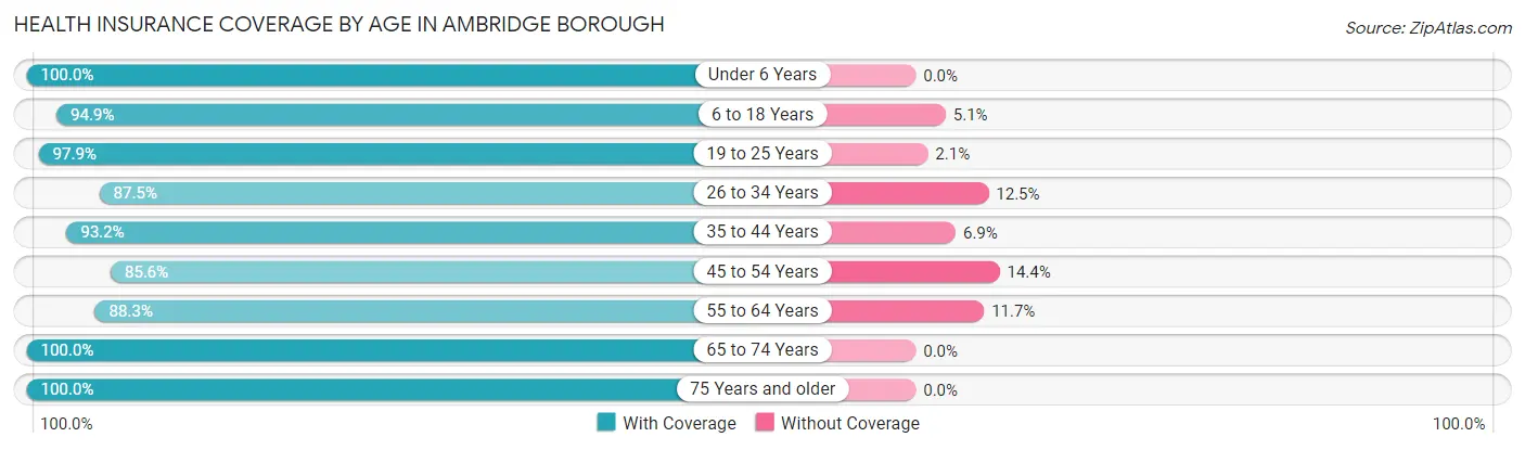 Health Insurance Coverage by Age in Ambridge borough