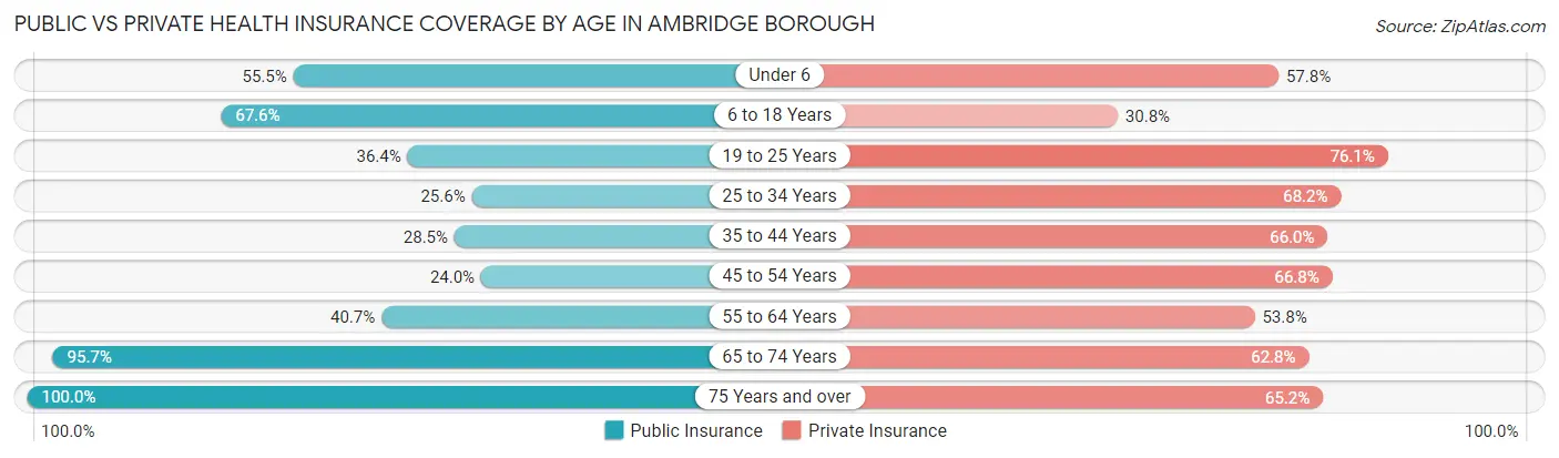 Public vs Private Health Insurance Coverage by Age in Ambridge borough