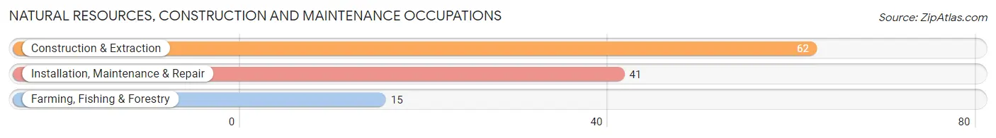 Natural Resources, Construction and Maintenance Occupations in Annville