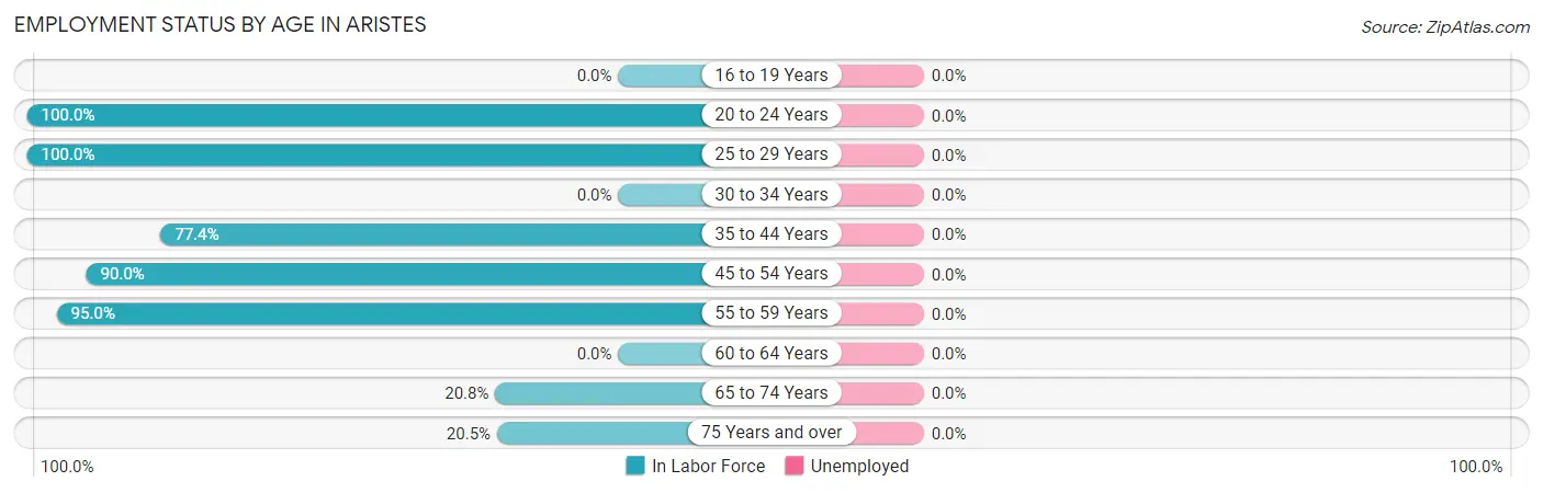 Employment Status by Age in Aristes