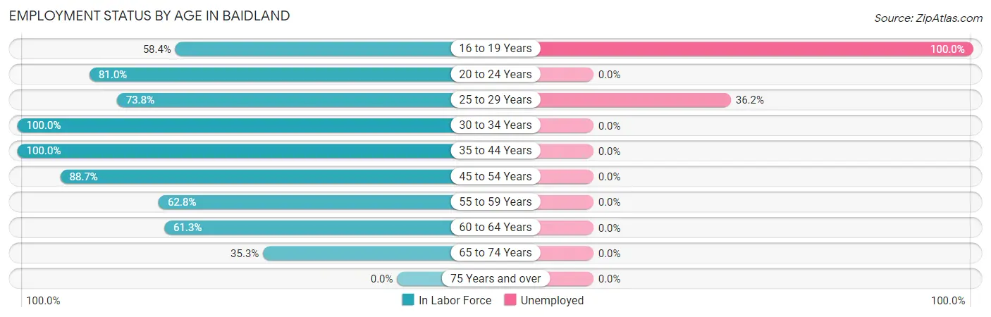 Employment Status by Age in Baidland