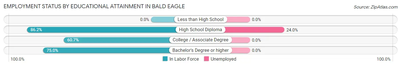Employment Status by Educational Attainment in Bald Eagle