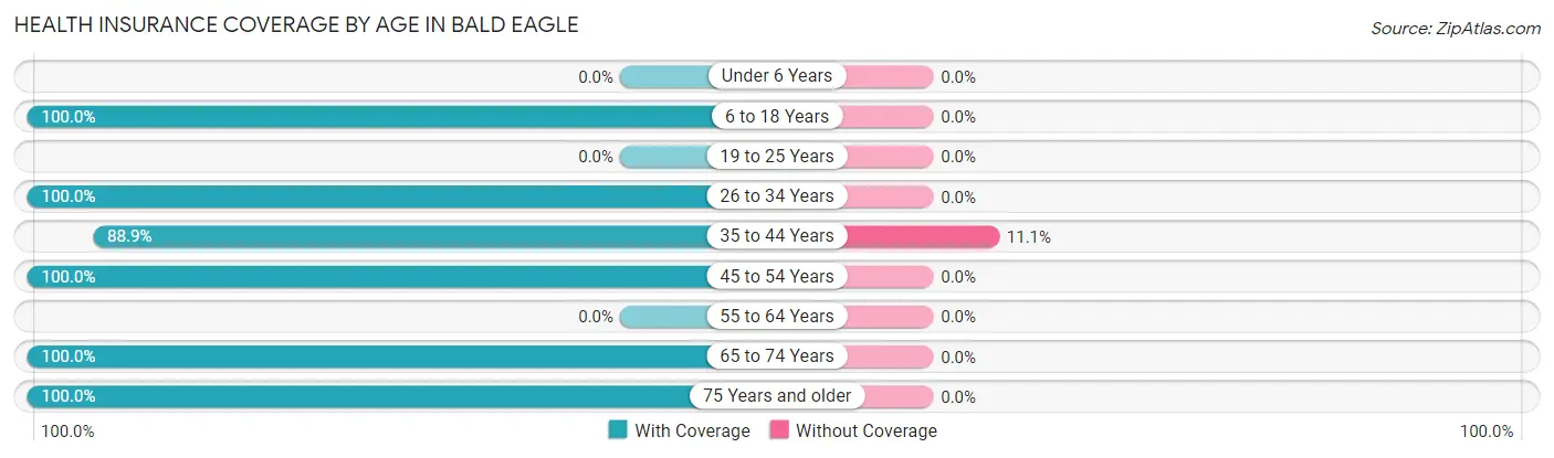 Health Insurance Coverage by Age in Bald Eagle