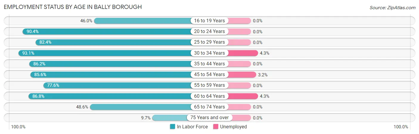 Employment Status by Age in Bally borough