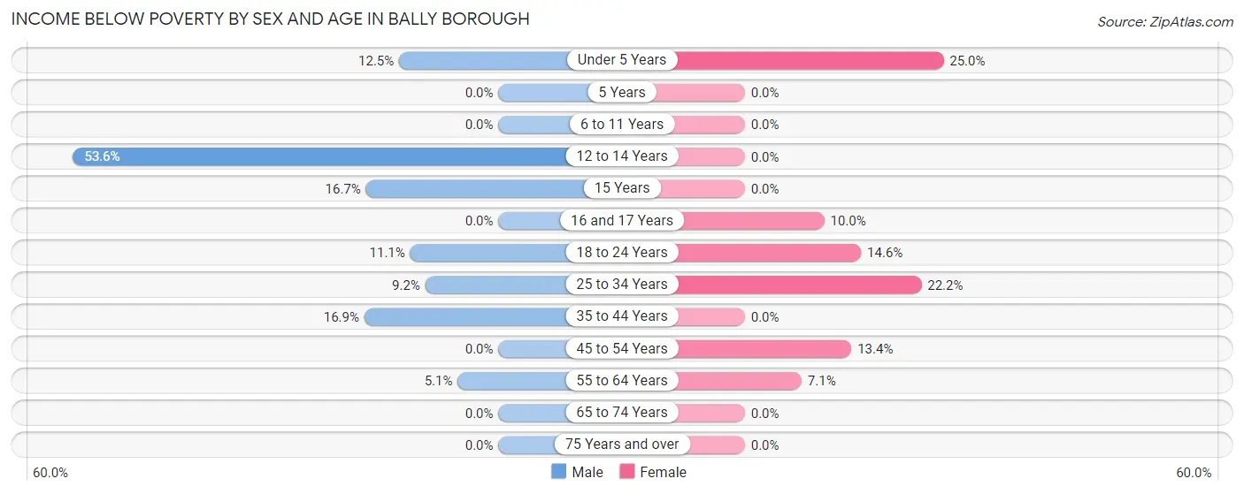 Income Below Poverty by Sex and Age in Bally borough