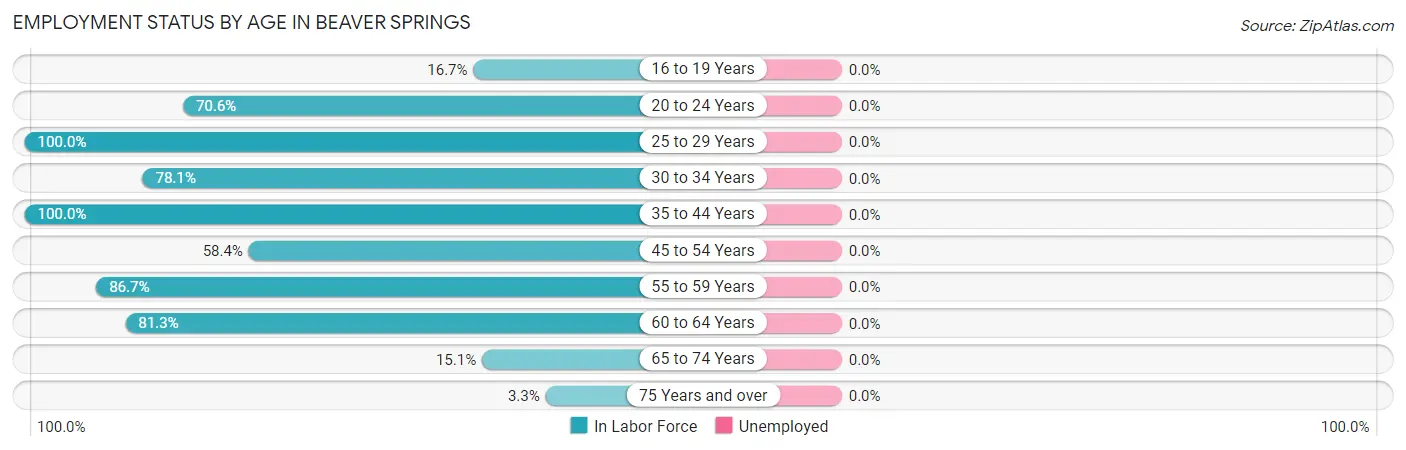 Employment Status by Age in Beaver Springs