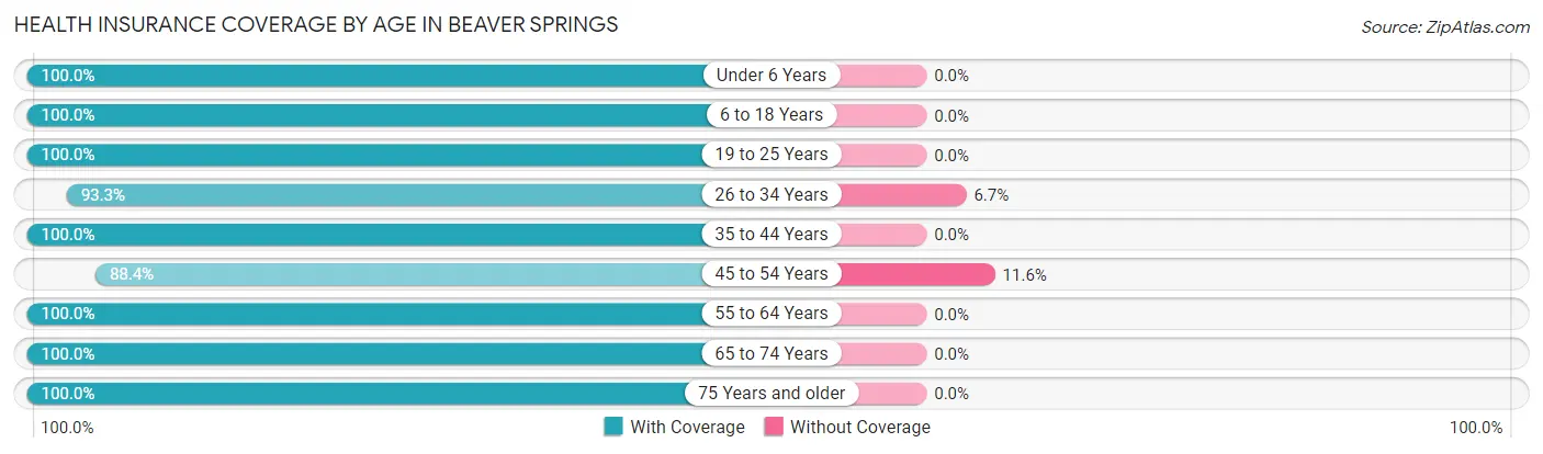 Health Insurance Coverage by Age in Beaver Springs