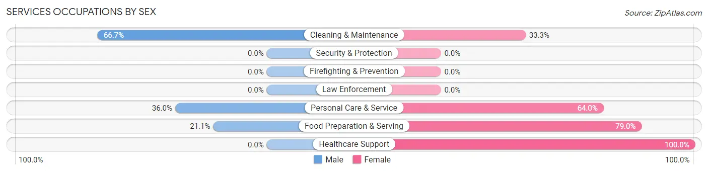 Services Occupations by Sex in Beaver Springs