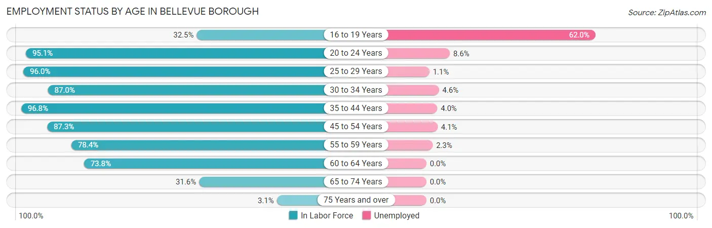 Employment Status by Age in Bellevue borough