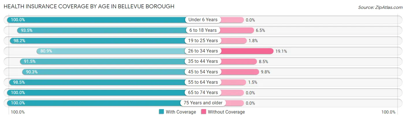 Health Insurance Coverage by Age in Bellevue borough