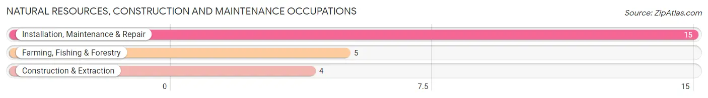 Natural Resources, Construction and Maintenance Occupations in Berrysburg borough