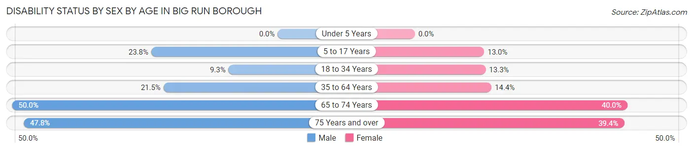 Disability Status by Sex by Age in Big Run borough