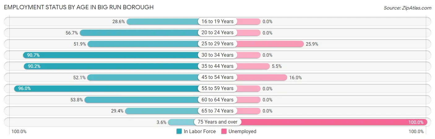 Employment Status by Age in Big Run borough