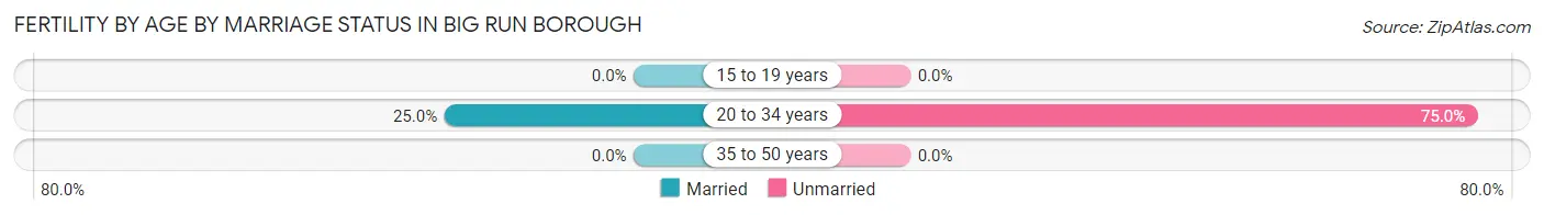 Female Fertility by Age by Marriage Status in Big Run borough