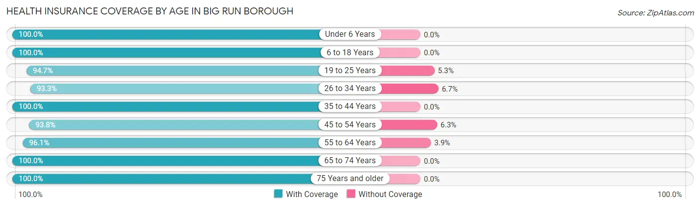 Health Insurance Coverage by Age in Big Run borough