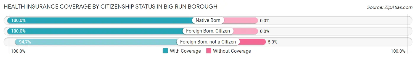 Health Insurance Coverage by Citizenship Status in Big Run borough