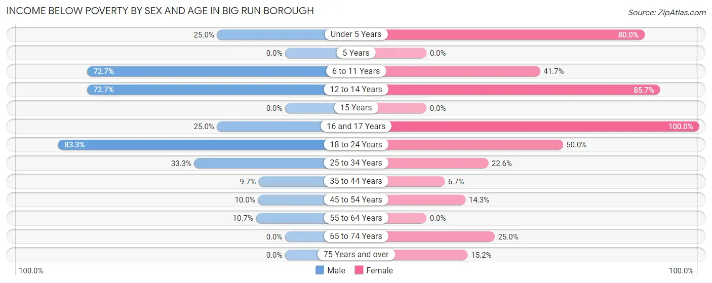 Income Below Poverty by Sex and Age in Big Run borough