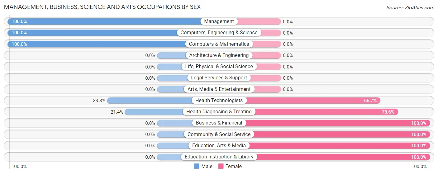 Management, Business, Science and Arts Occupations by Sex in Big Run borough