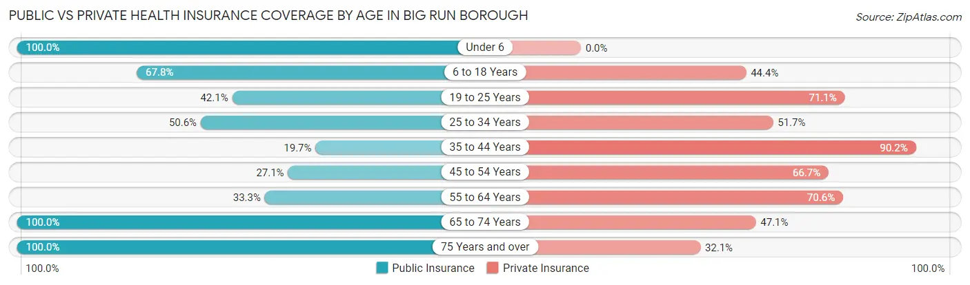 Public vs Private Health Insurance Coverage by Age in Big Run borough