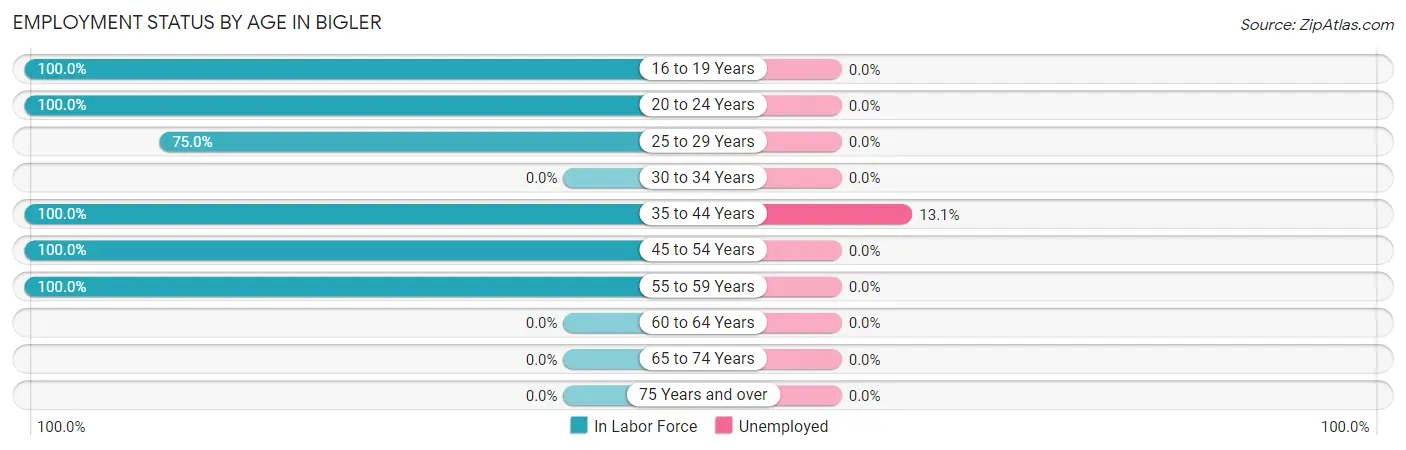 Employment Status by Age in Bigler