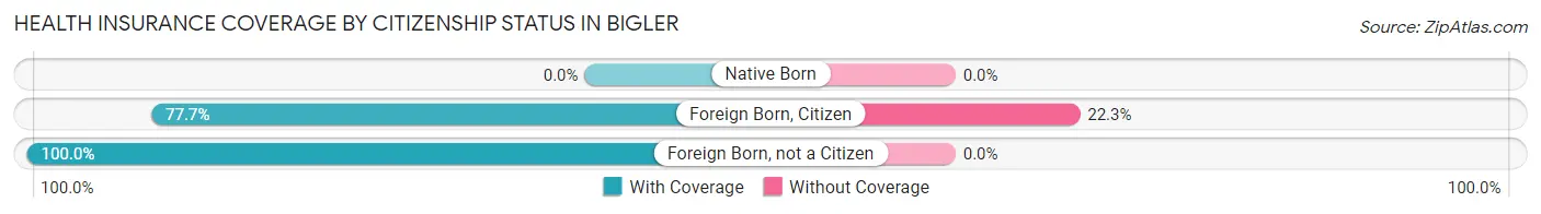Health Insurance Coverage by Citizenship Status in Bigler