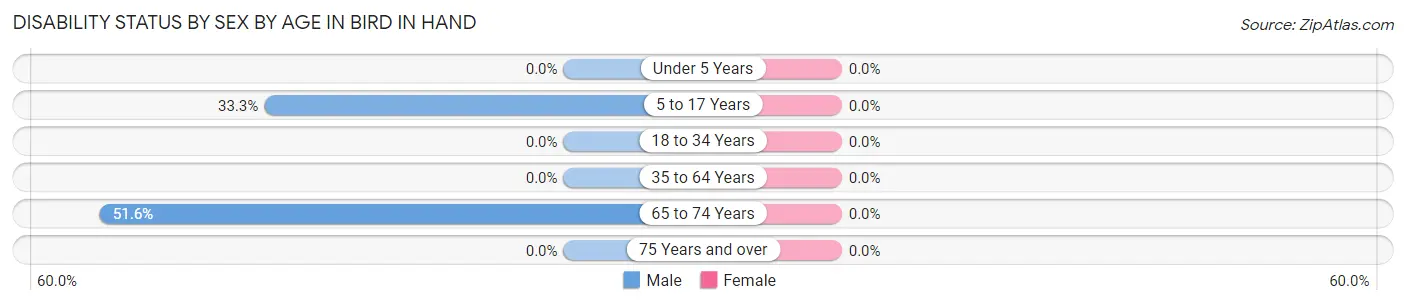 Disability Status by Sex by Age in Bird In Hand