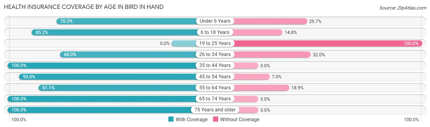 Health Insurance Coverage by Age in Bird In Hand