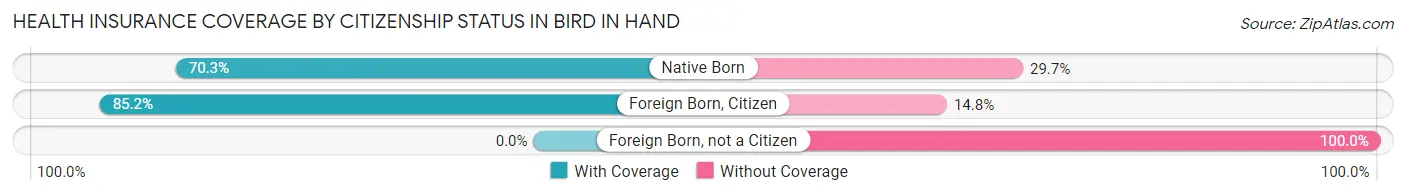 Health Insurance Coverage by Citizenship Status in Bird In Hand