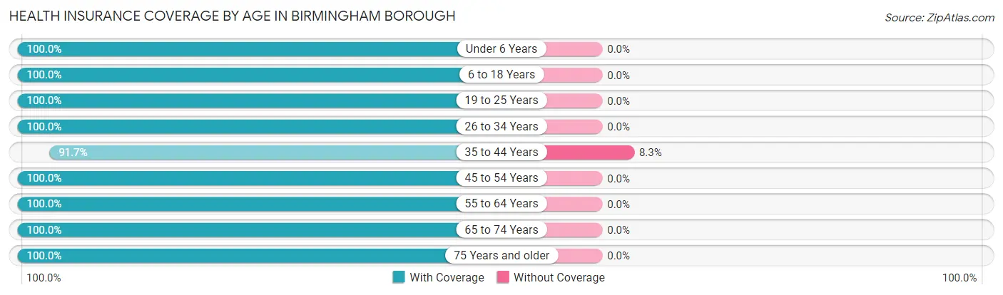 Health Insurance Coverage by Age in Birmingham borough