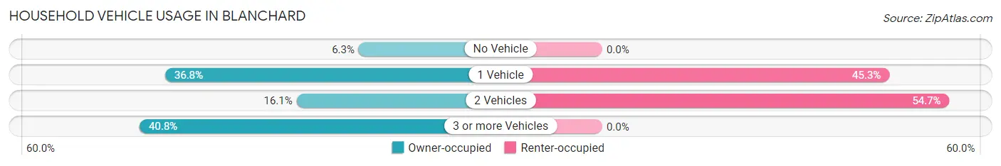 Household Vehicle Usage in Blanchard
