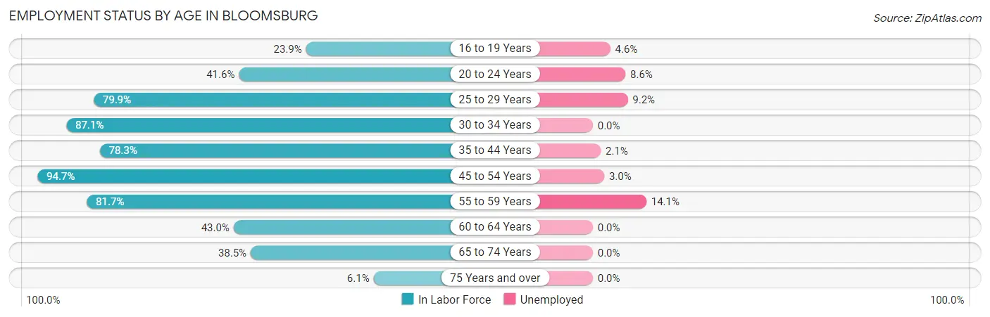 Employment Status by Age in Bloomsburg