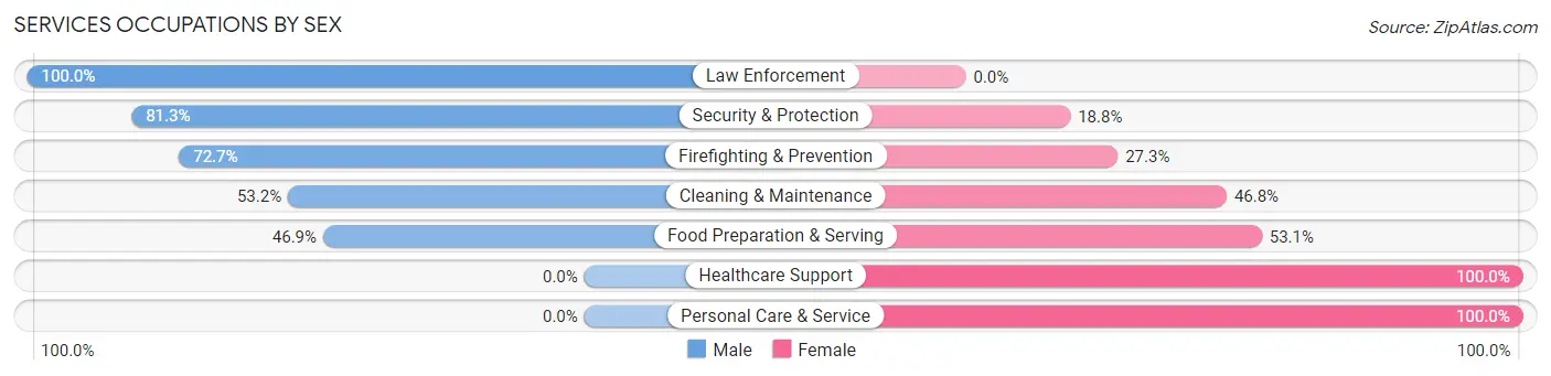 Services Occupations by Sex in Blossburg borough